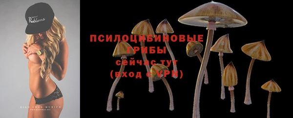 ПСИЛОЦИБИНОВЫЕ ГРИБЫ Ханты-Мансийск